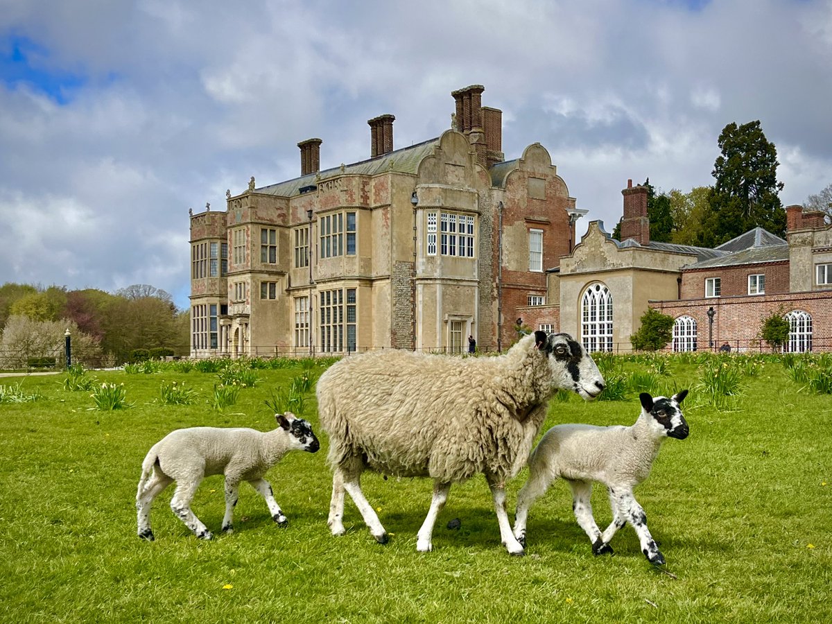 TractorWalking's tweet image. Residents of Felbrigg enjoying a Sunday afternoon stroll… @WeatherAisling @ChrisPage90 @StormHour @metoffice #loveukweather #Norfolk @nationaltrust