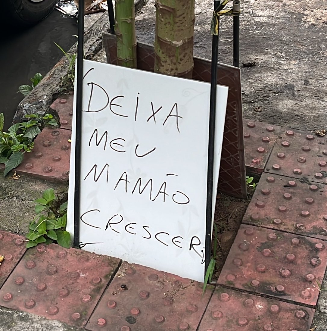 Tem uma pessoa no meu bairro muito protetivo em relação ao mamoeiro dele.