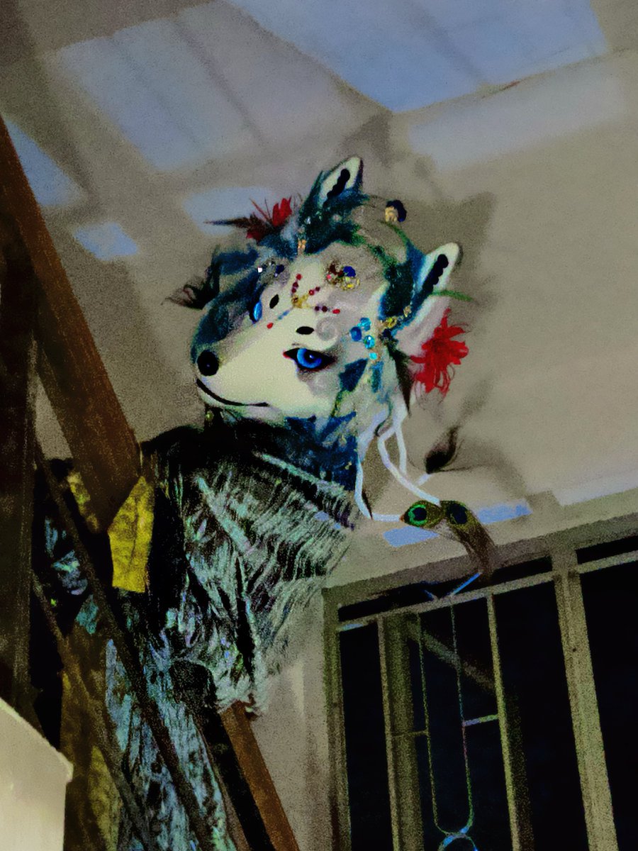 沐狼崽 tweet media