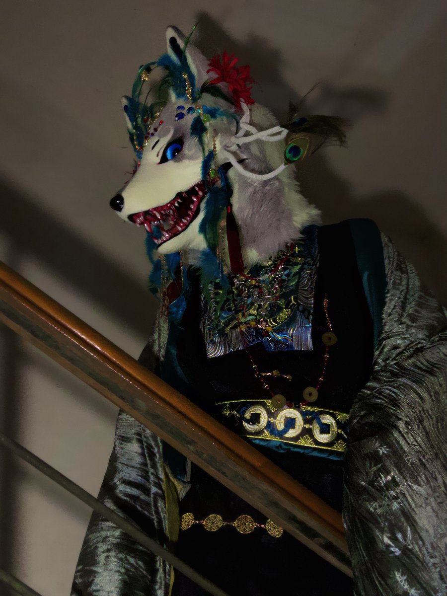 沐狼崽 tweet media