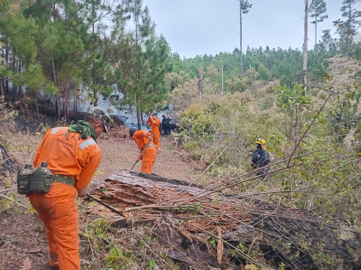 Secretaría de Gestión de Riesgos y Contingencias tweet media