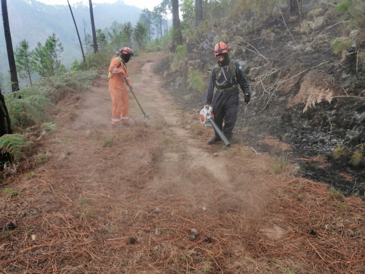 Secretaría de Gestión de Riesgos y Contingencias tweet media
