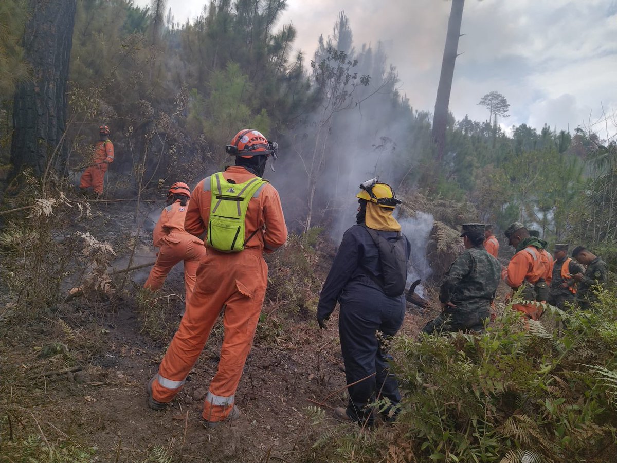 Secretaría de Gestión de Riesgos y Contingencias tweet media
