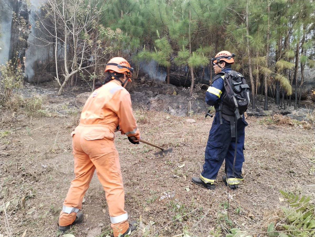 Secretaría de Gestión de Riesgos y Contingencias tweet media