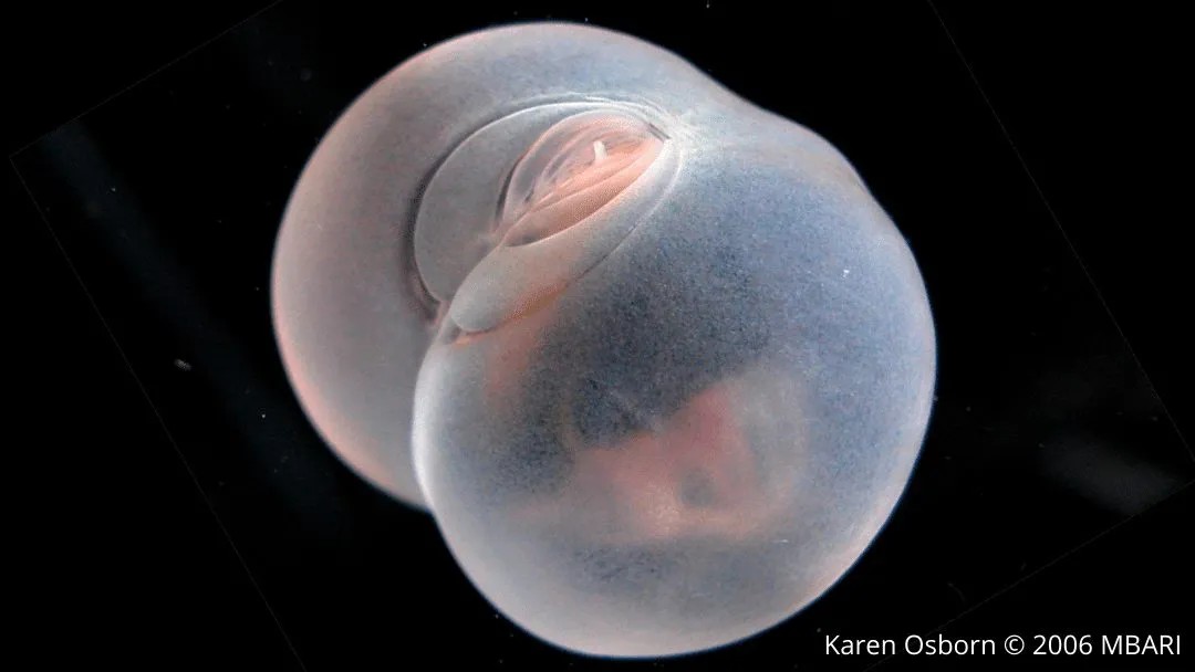 🍂pracklyy⚓ tweet media