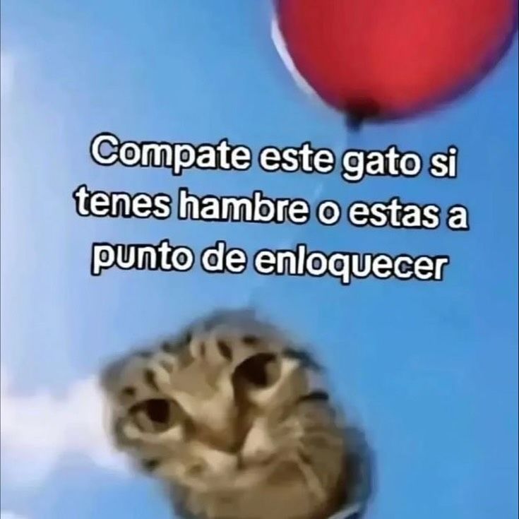 ¡Dread! tweet media