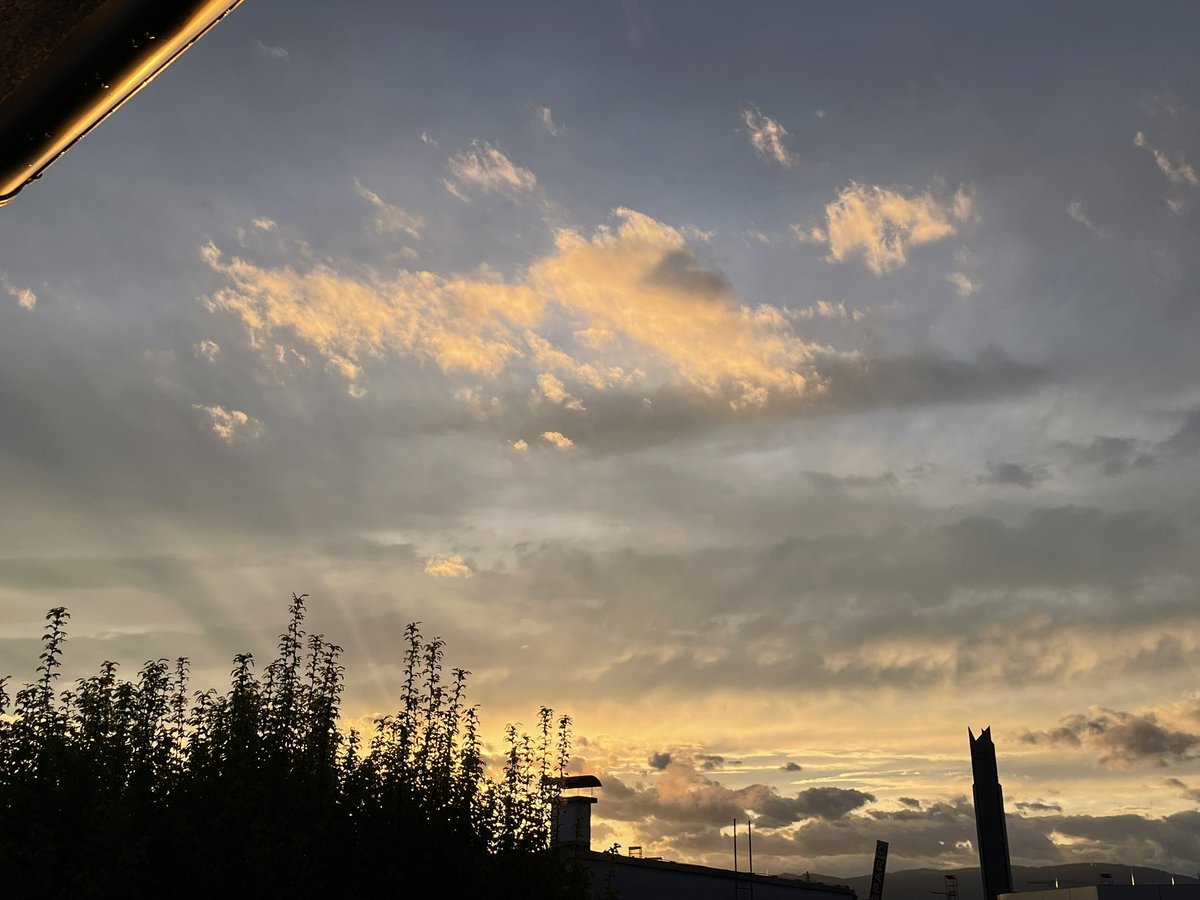 Petra Zoffmann 🕊️🇦🇹 🇮🇩 tweet media