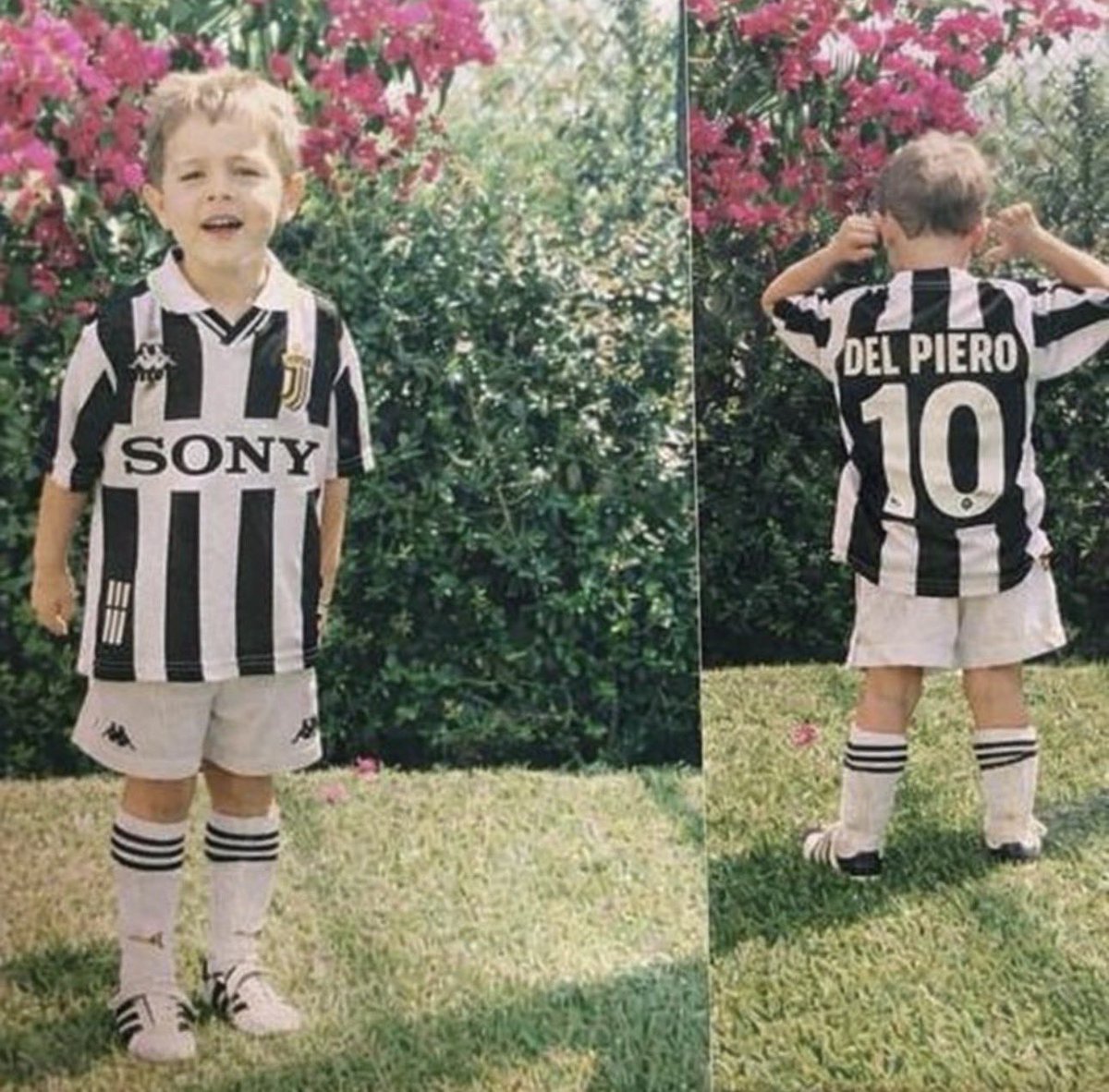 Mr lippi tweet media