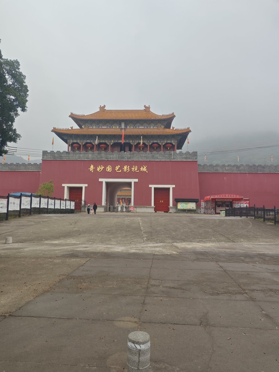 Willing power tweet media