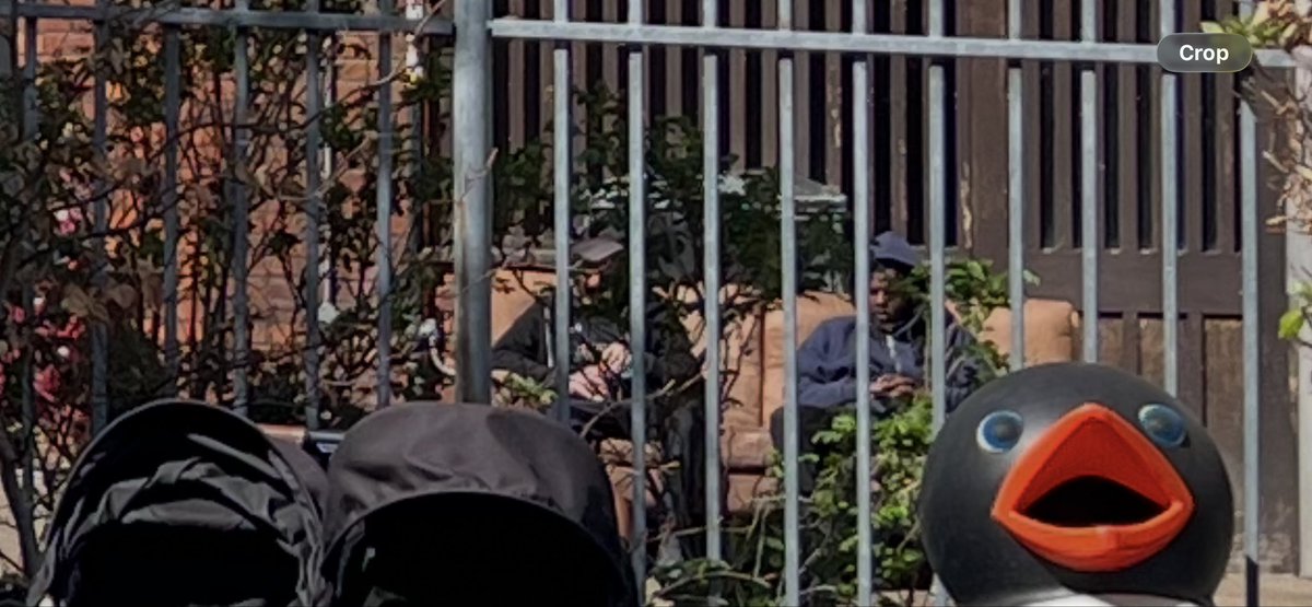 James McMurdock MP tweet media