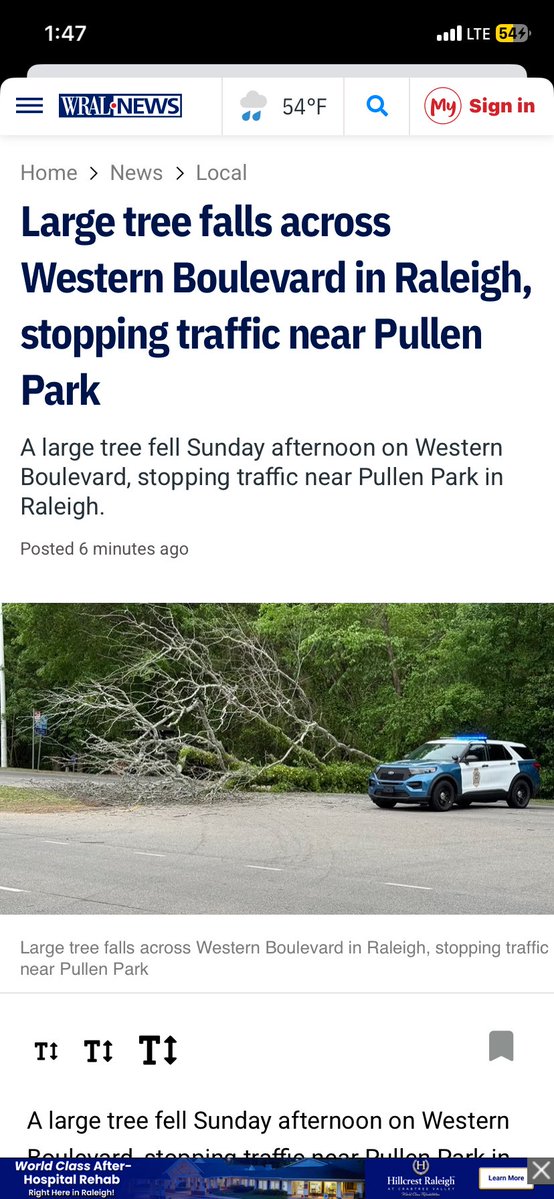 CoffeeBookCat's tweet image. Its still there! #Raleigh