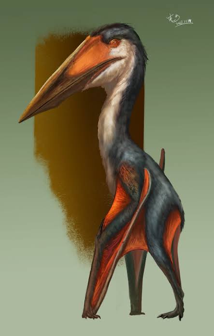 Mano Vini #UCRM tweet media