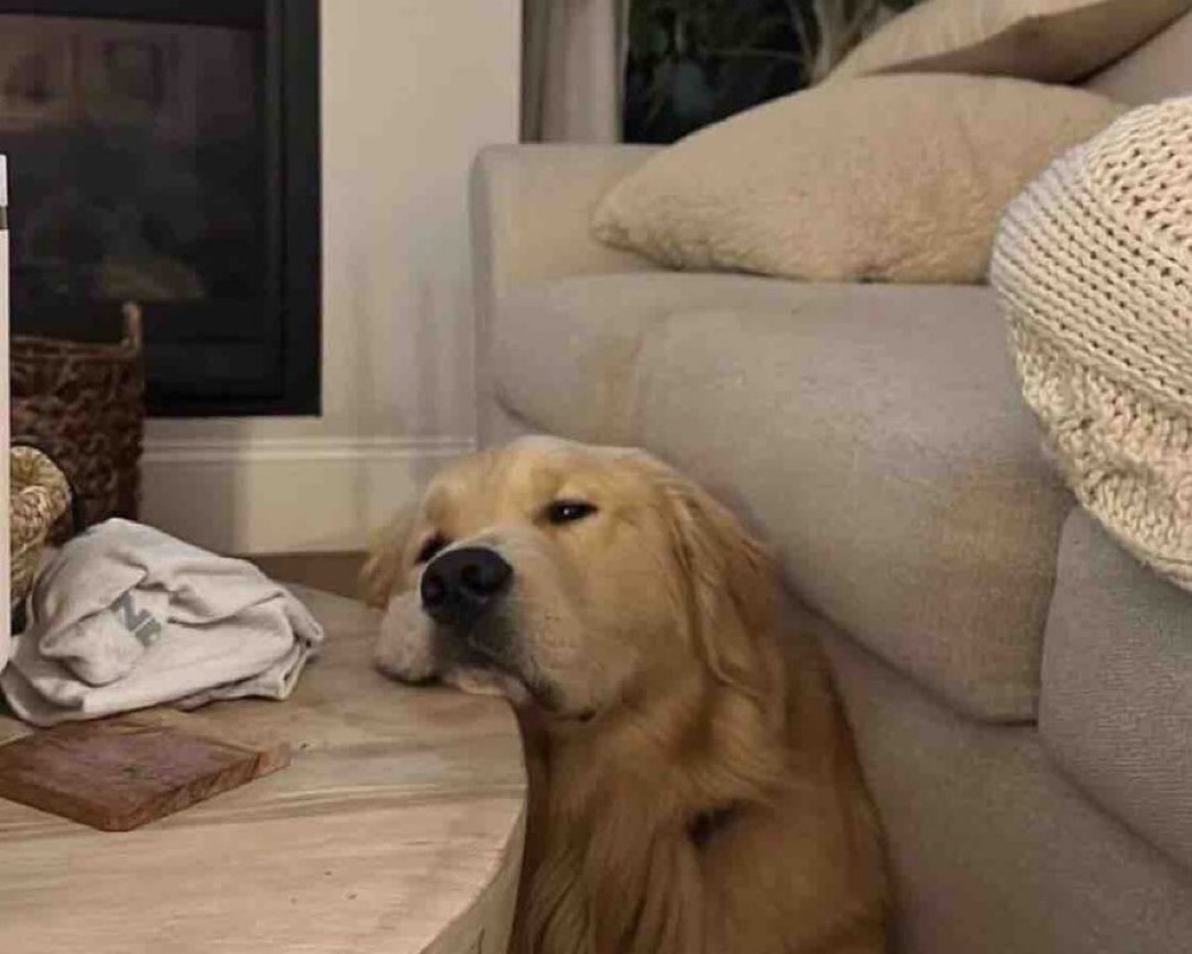 — ¿Cómo te sientes?

— Yo: