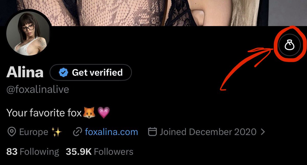 foxalinalive's tweet photo. Guys, finally! I've been wanting to add this for a long time and just recently added the tips feature to my bio🥳 
Thank you for all the love, support, and tips you share. I'm so grateful Love you!🫰🏻🩷 https://t.co/GOeRjQxqOr