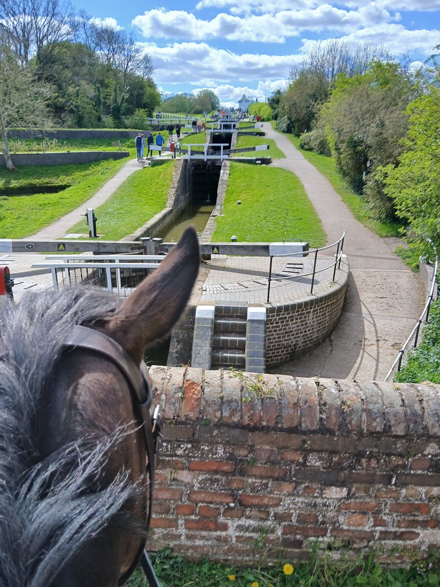 historical_kate's tweet photo. What a fun day with my beautiful horse in the Leicestershire countryside. #thoroughbred #dayoff #gallops #horses #foxtonlocks https://t.co/iN0EzYDHD7