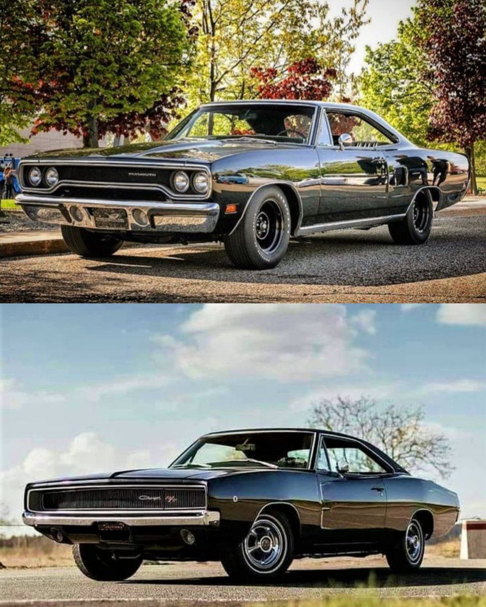 Vintage Cars Collection tweet media