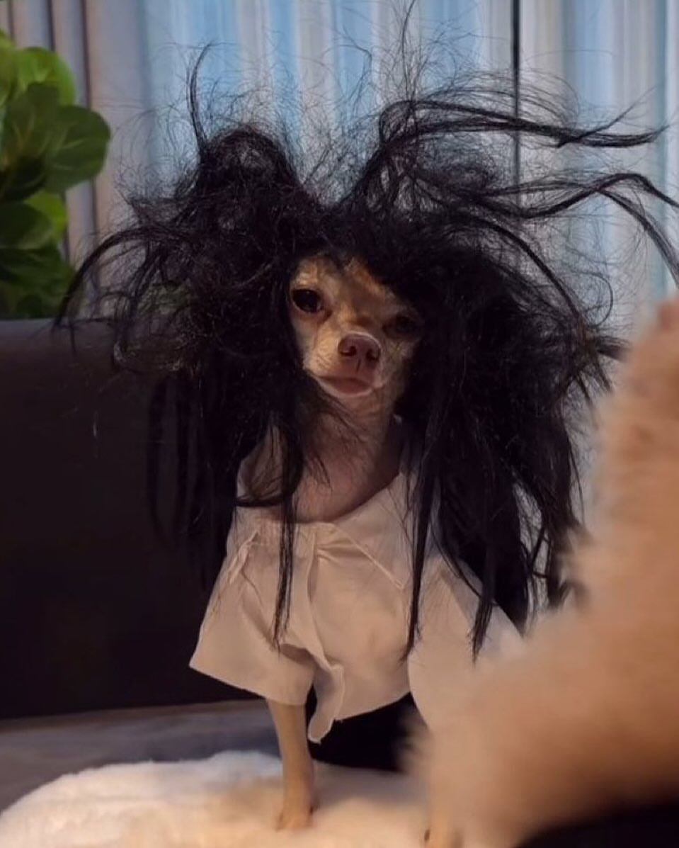 xo ☀️ tweet media