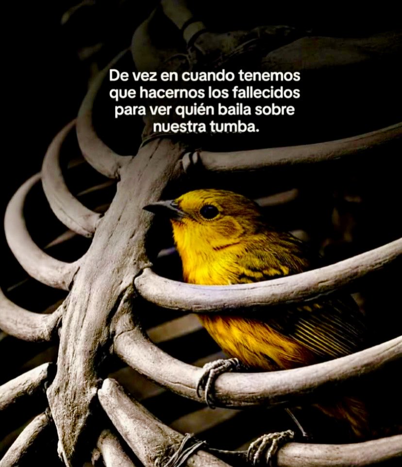 ¡Una frase dura pero real!
Cuando nos ausentamos, descubrimos el verdadero lugar que ocupamos en la vida de otros.
No se trata de desconfiar de todos, es aprender a observar sin ingenuidad.Perder presencia es la única forma de ganar claridad.¡No se puede confiar en todo el mundo!