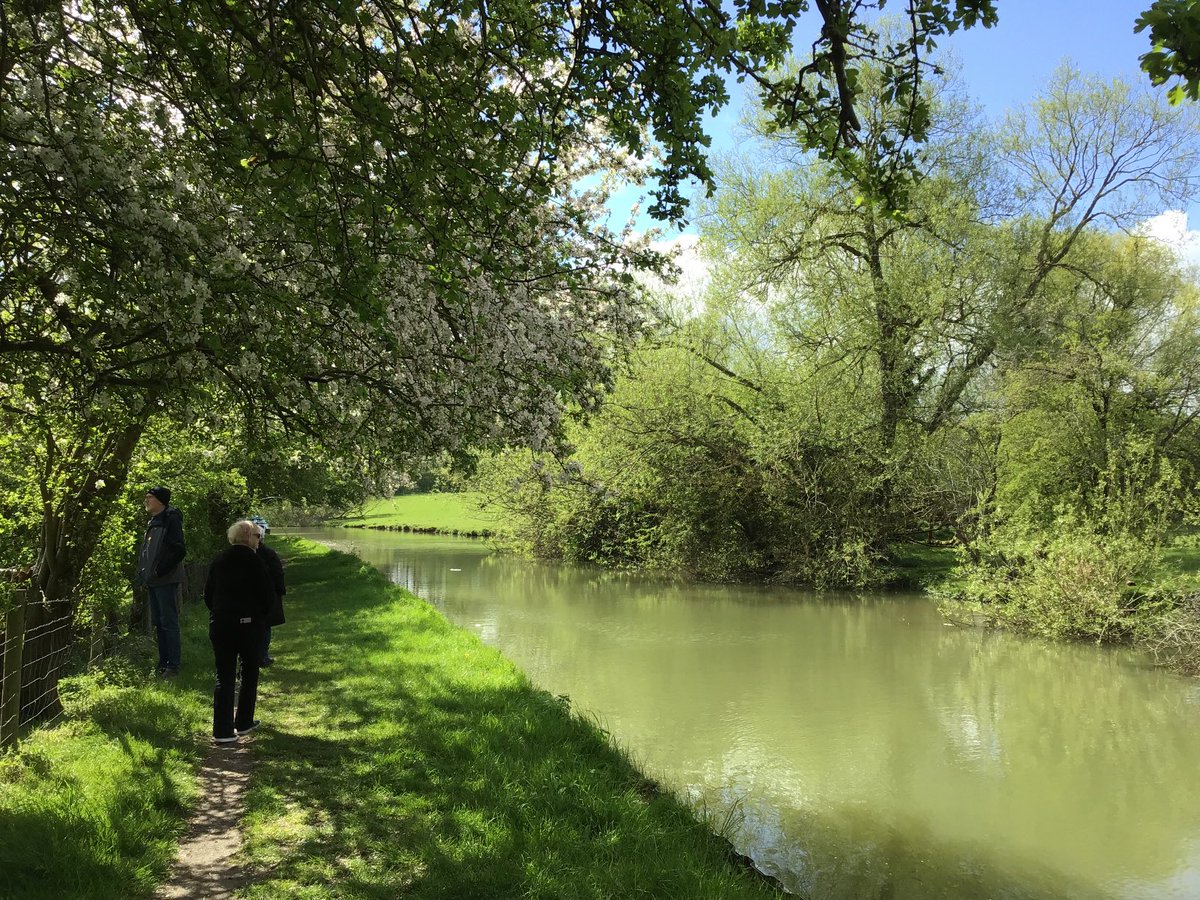 GRWhiteQueen's tweet photo. Beautiful afternoon on the #GrandUnionCanal between bridges 57 and 58. #GraftonRegis #Northamptonshire @CRTEastMidlands @CanalRiverTrust @Discover_N_ https://t.co/PhcL5GEKia