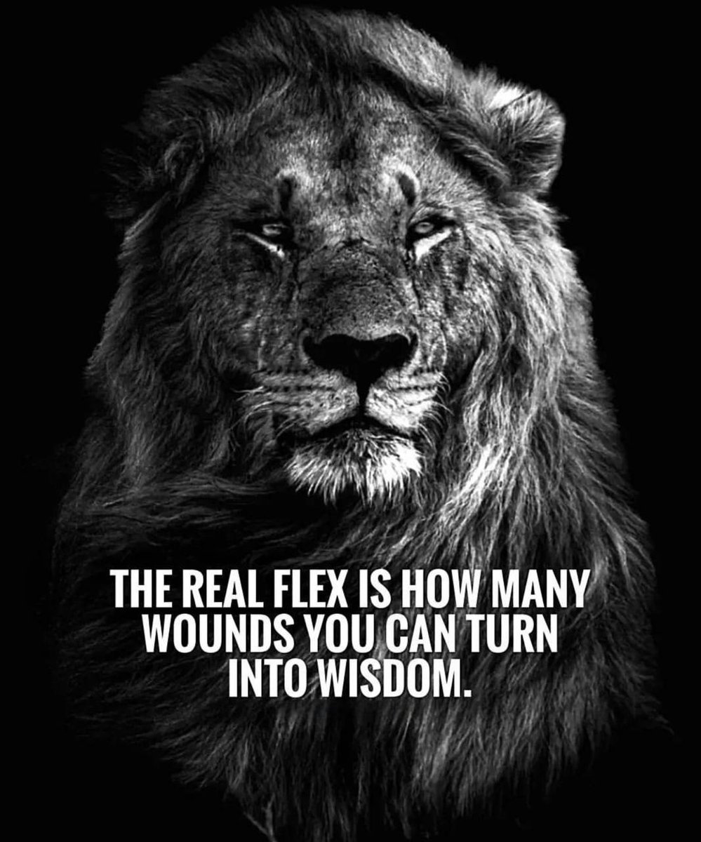 Shareef Twal tweet media