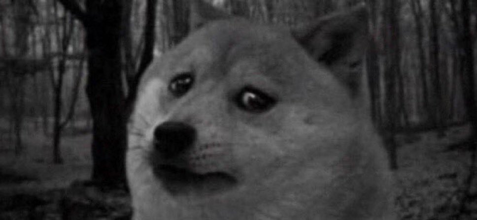 Aràna 🕷️ tweet media