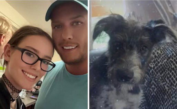 Wolf 🐺 tweet media