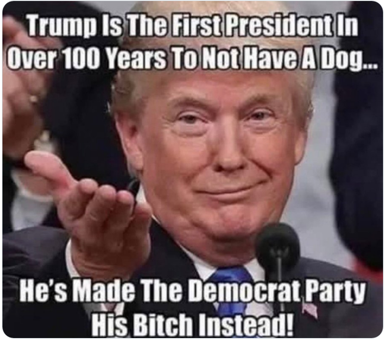 Peter Stewart tweet media