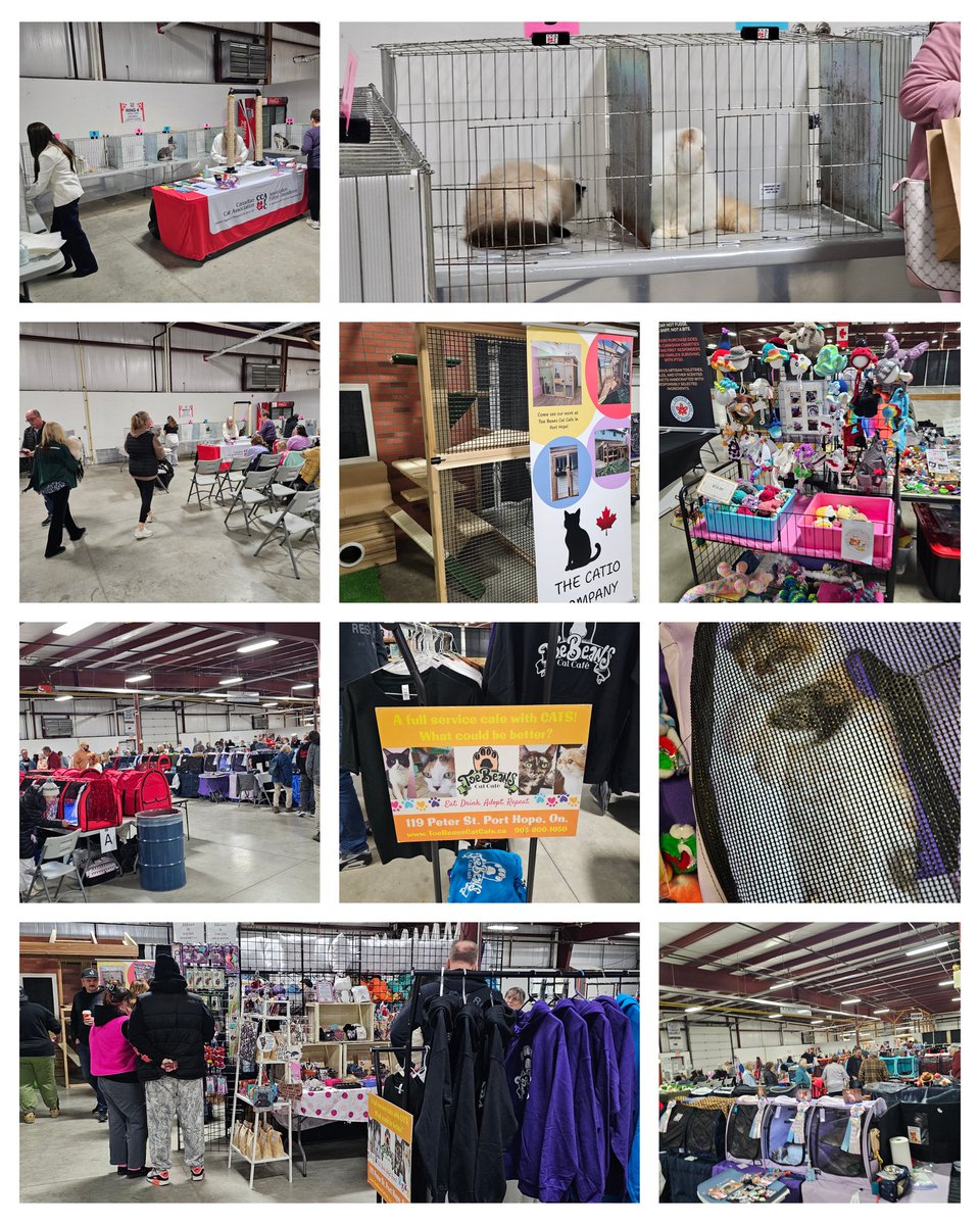 KX105 New Country FM tweet media