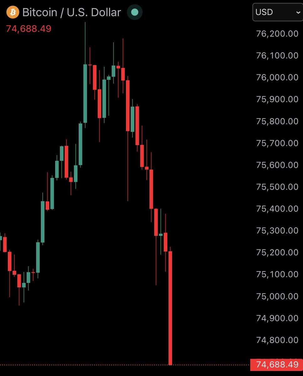 Bitcoin Junkies tweet media