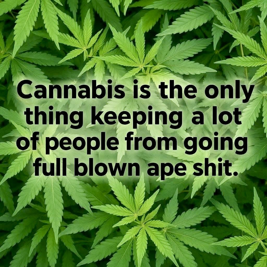 iFlyHigh™ 🎄 tweet media