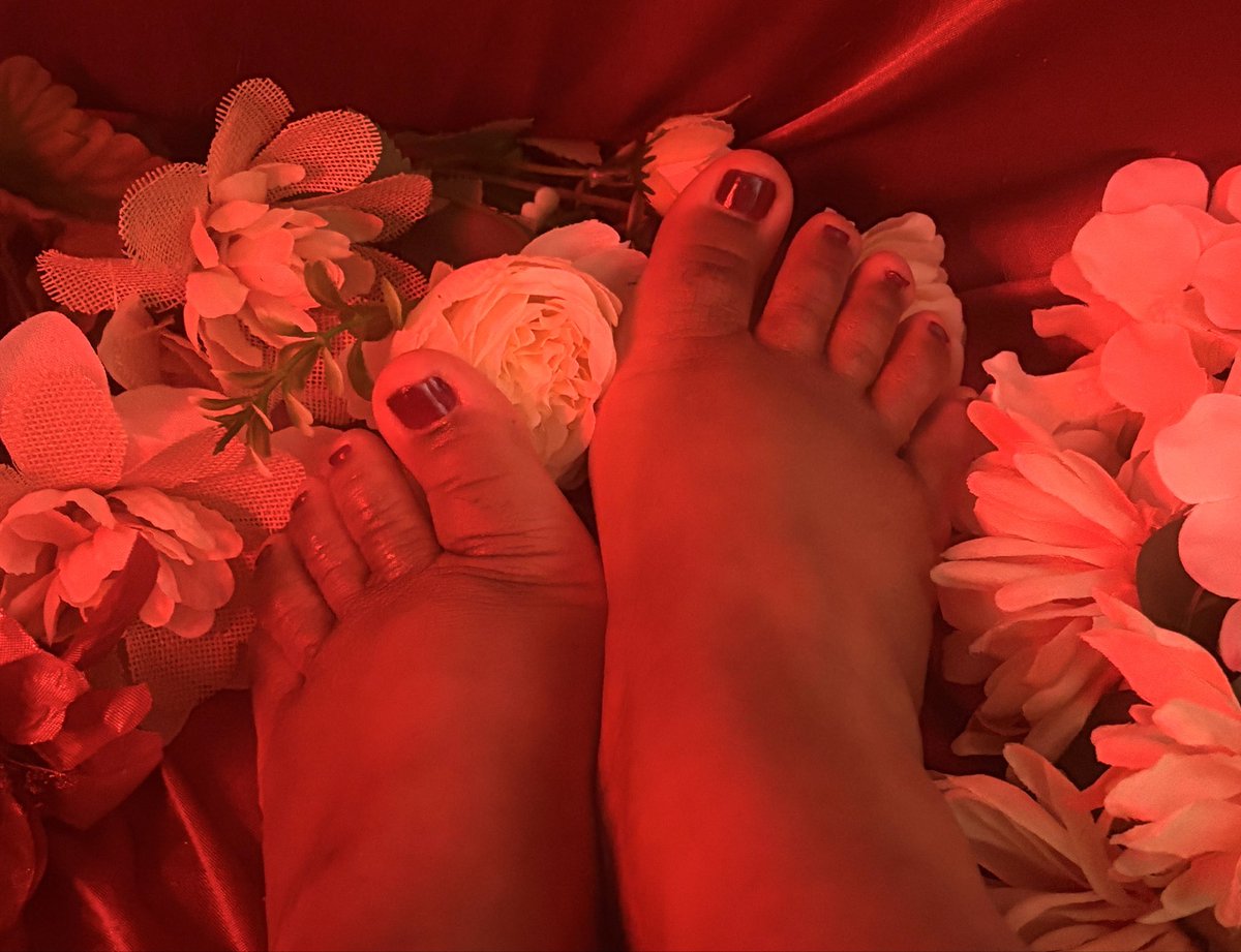 prettyrougetoes's tweet image. #pretty #prettyfeet #feet #feetpics #pedicure #selling #content #feetfetısh #feetworshi̇p #feetِ  #feetseller