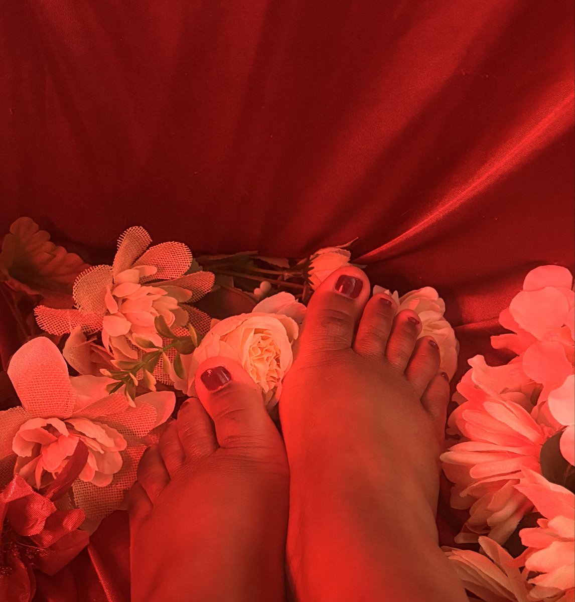 prettyrougetoes's tweet image. #pretty #prettyfeet #feet #feetpics #pedicure #selling #content #feetfetısh #feetworshi̇p #feetِ  #feetseller