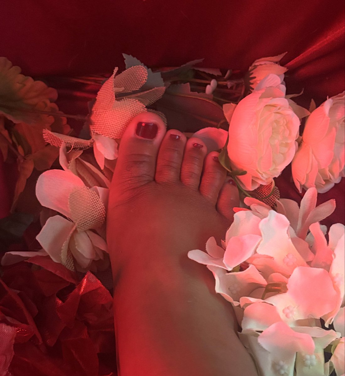 prettyrougetoes's tweet image. #pretty #prettyfeet #feet #feetpics #pedicure #selling #content #feetfetısh #feetworshi̇p #feetِ  #feetseller