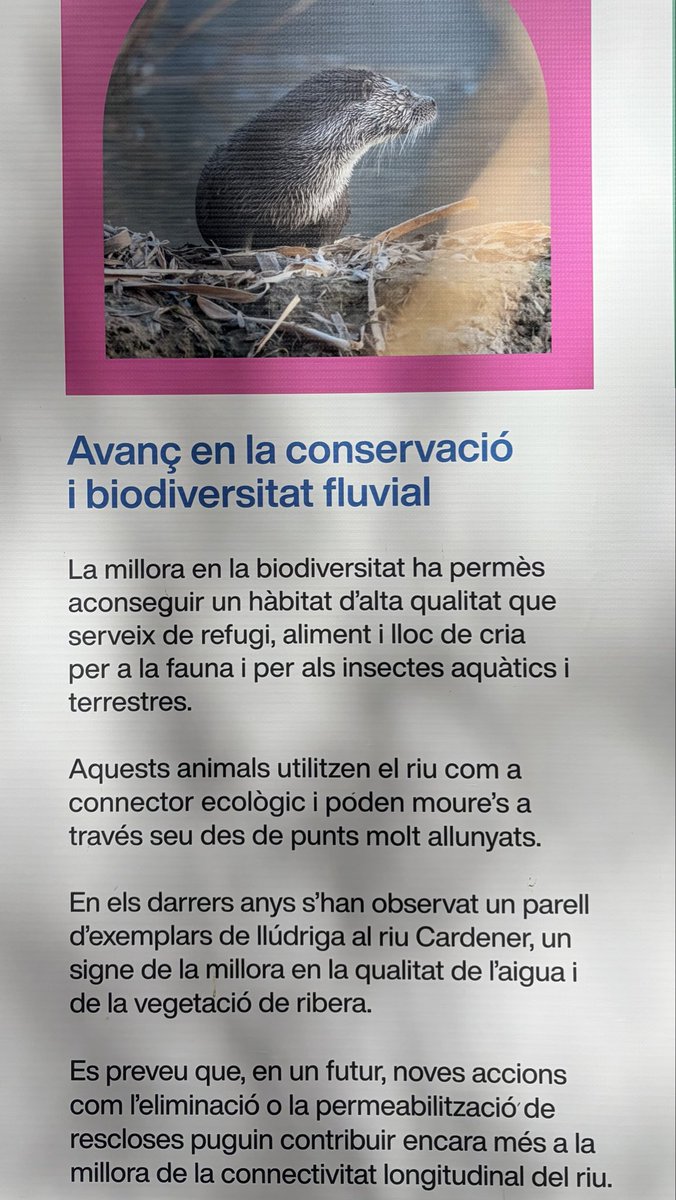 AlquezarAngel's tweet photo. @La_Directa @ferranmanlleu Sembla que en aquesta primavera, mentre les llúdrigues retornen al Cardener, sobre les vies eclosionen els petits escurçons del neofeixisme embolicats en caputxes de covarda foscor
Ja posats a reproduir bajenades, no oblideu que també van apagar la llum del túnel uns metres amunt https://t.co/5e73HFDSkP