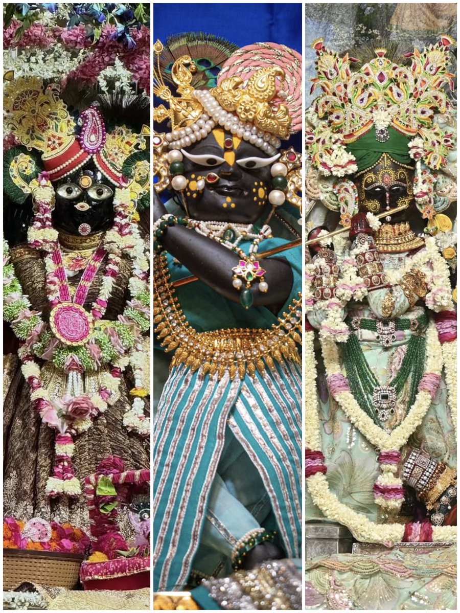 Radhika Ras 🪷 tweet media