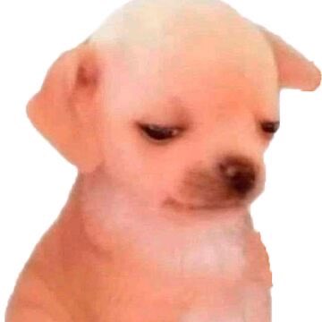 me da vergüenza decir que me voy de viaje a amsterdam y berlin con mis amigos pq queda en evidencia que nos vamos a re drogar