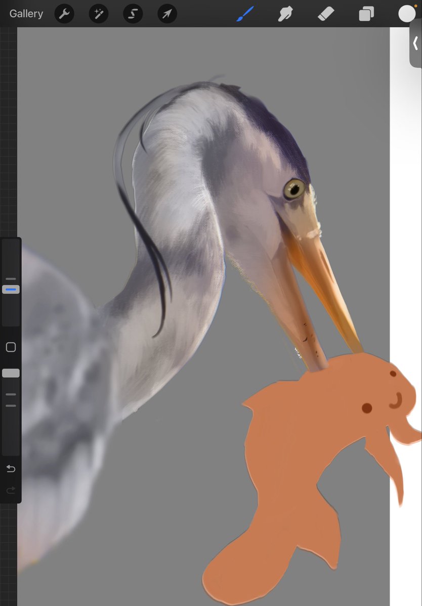 Rik0_viii's tweet image. I haven’t posted any art for years so looks like I’m starting over #art #practice #bird #sketch