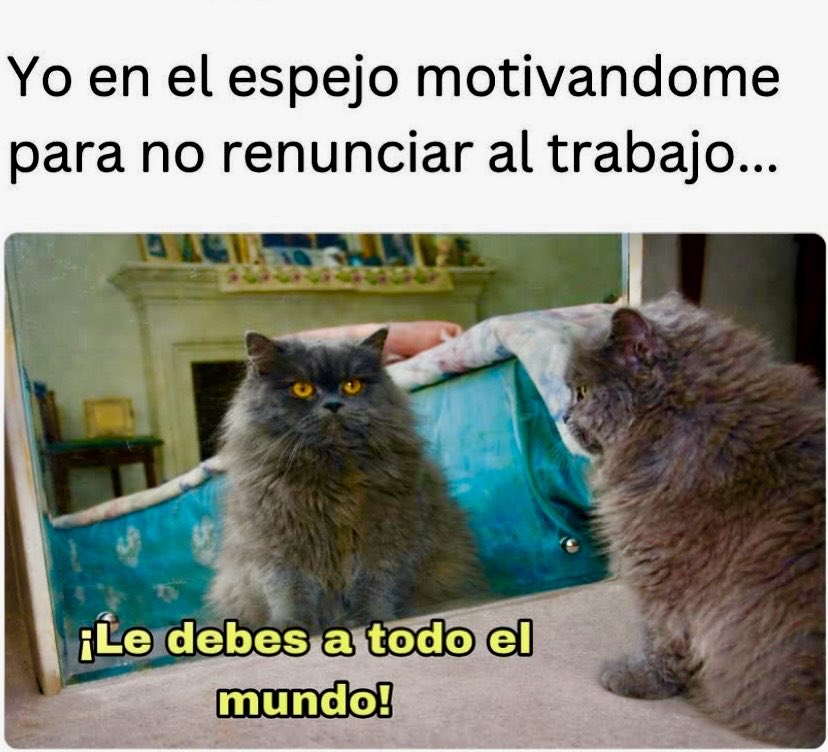 No es pasión, es deuda 💸.🤭🤣🤣🤣🤣