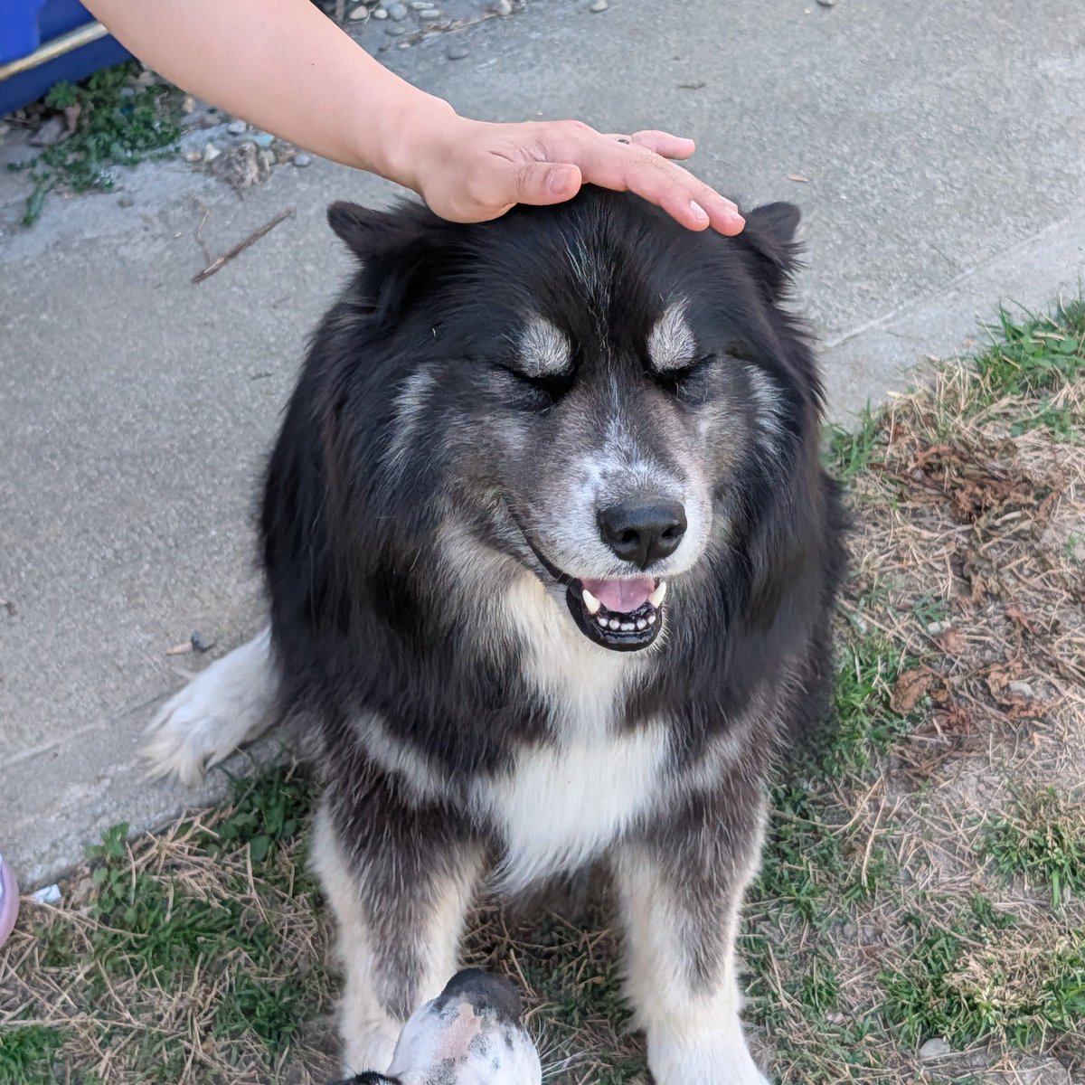 ⌬CatalyticComics⌬ tweet media