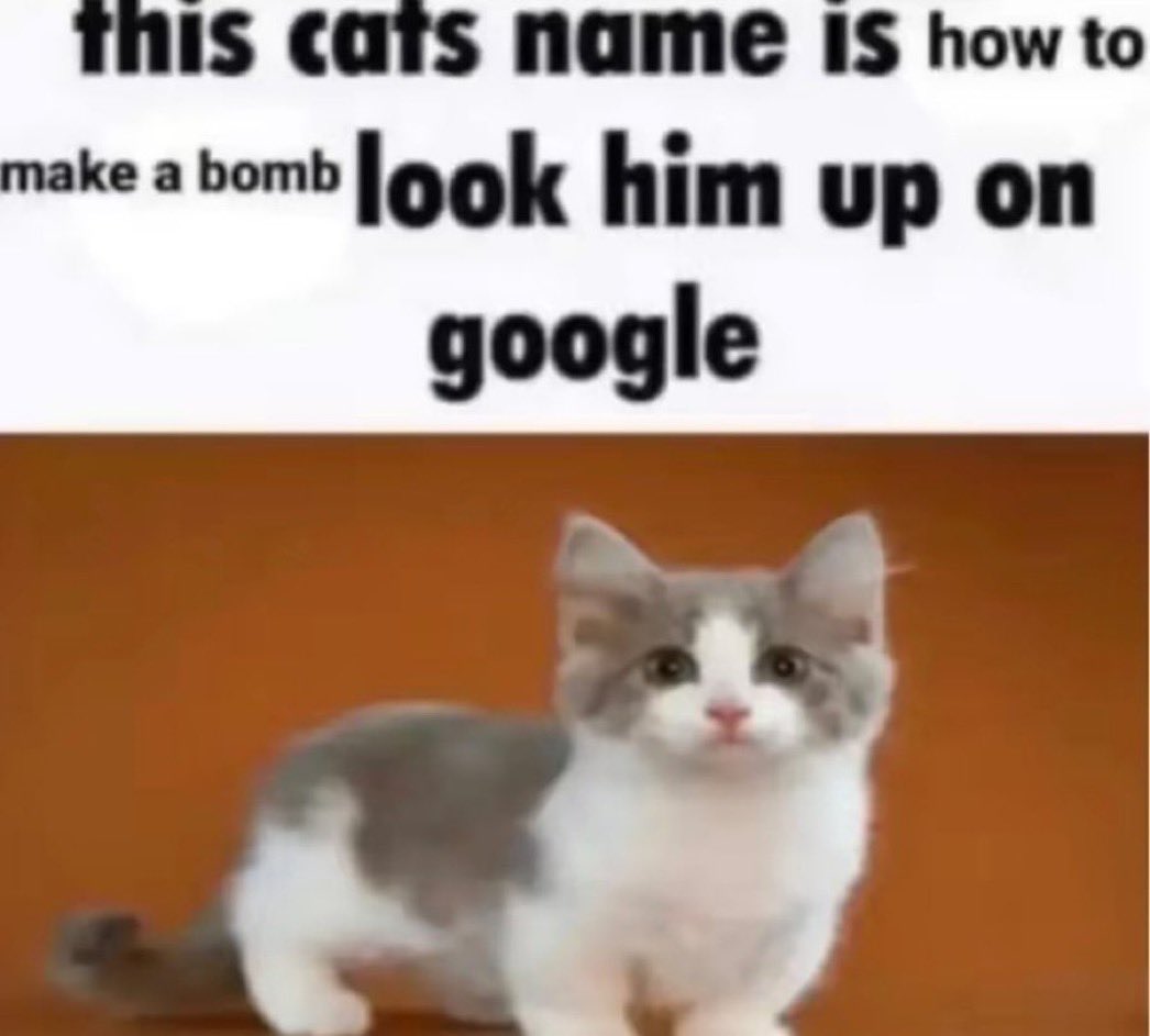 Goosedart (@goosedart_) on Twitter photo 