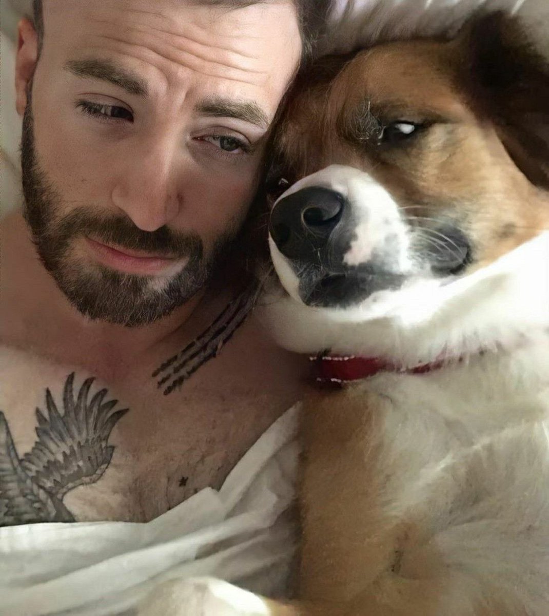 lulimon123's tweet photo. My two Fav with their ✨jaan✨🐶
Coincidence ho toh aise ho , Birthday bhi same month 3 din ka farq 🤯😝
#AmaalMallik #ChrisEvans #Amaalians #Cevans https://t.co/mSxojTGL0H