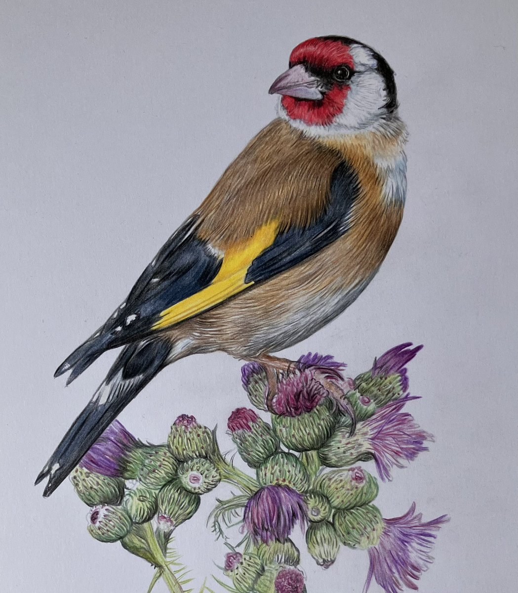 Lisa Wellwood Artist tweet media