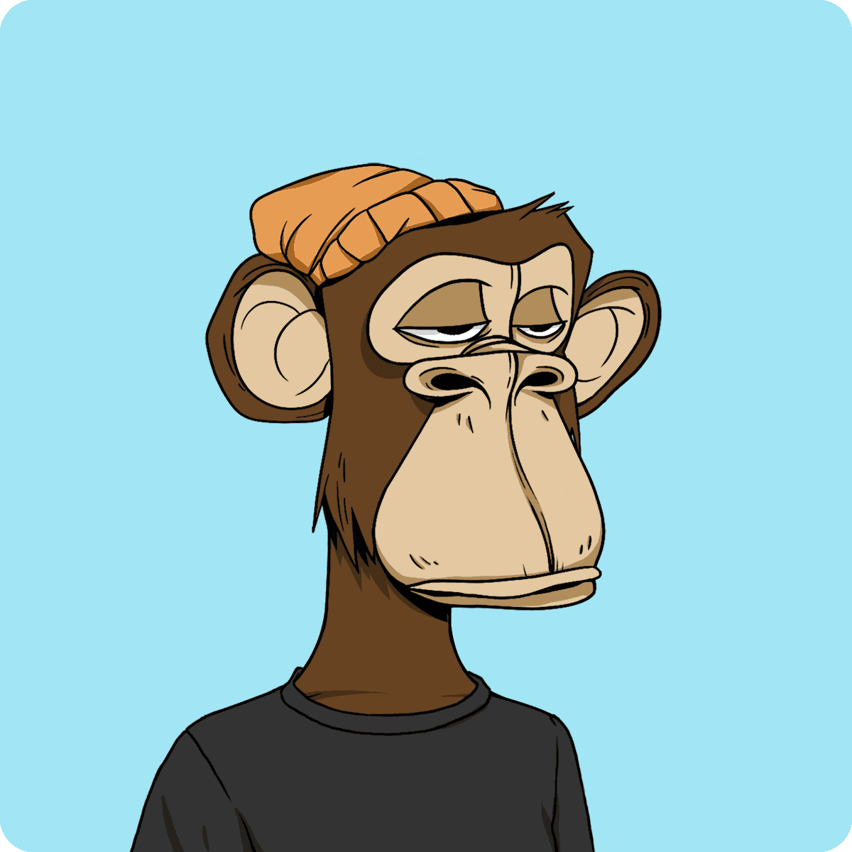 Return to monke.
<a href="/BoredApeYC/">Bored Ape Yacht Club 🍌</a>
