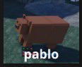 Dashcode_10 (The Camera man) tweet media