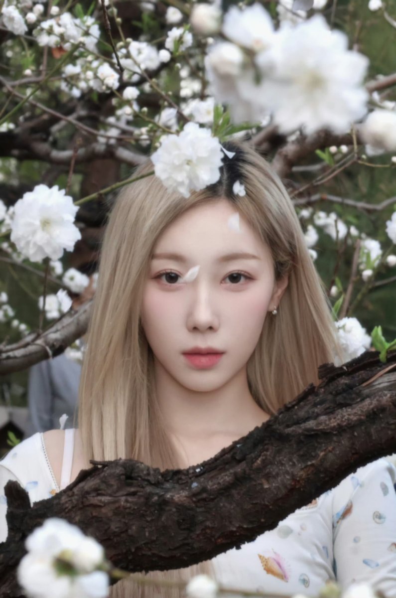 Dreamcatcher Italia tweet media