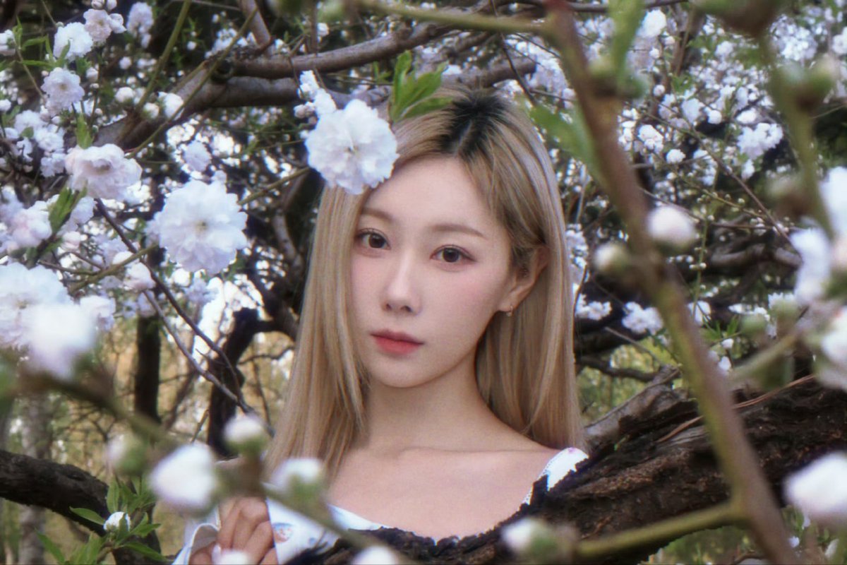 Dreamcatcher Italia tweet media