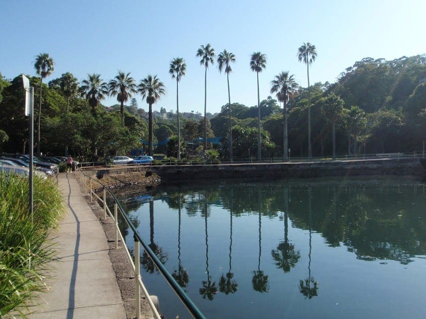 TrailHikingAust's tweet image. Cremorne Point to Taronga Zoo is a 4.2km, grade 3 hike located in Sydney Harbour National Park, New South Wales. The hike should take around 1.5 hours to complete.

#hiking #bushwalking  #trailhikingaustralia #TrailsNSW #WalkNSW #HikeNSW #NewSouthWales ...
trailhiking.com.au/hikes/cremorne…