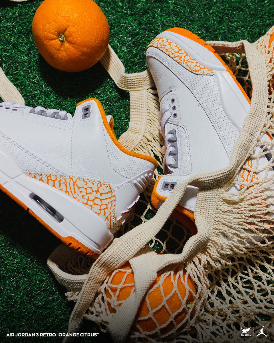 Shiekh.com tweet media