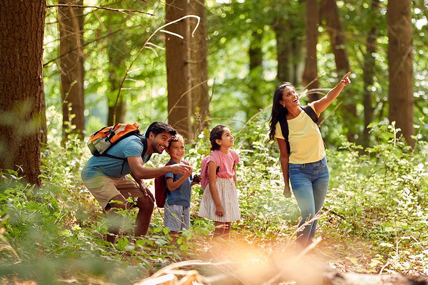 Active.com tweet media