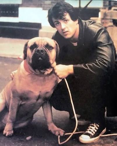 TheNerdyDan's tweet image. The gf has never seen any Rocky movie until now. We finished the Rocky series. Her favorite of all of them was Rocky IV. Least favorite was Rocky V. When I asked her who her favorite character was in all the films she answered "Butkus.. Definitely Butkus" #Rocky #rockybalboa